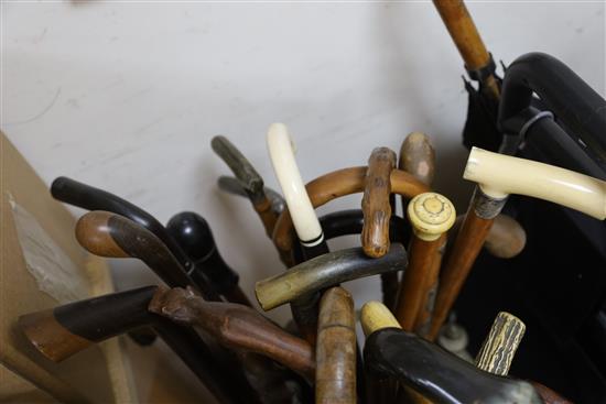 A large collection of walking sticks and umbrellas,